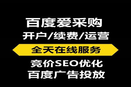 某企业SEM广告投放的ROI提升策略及效果展示